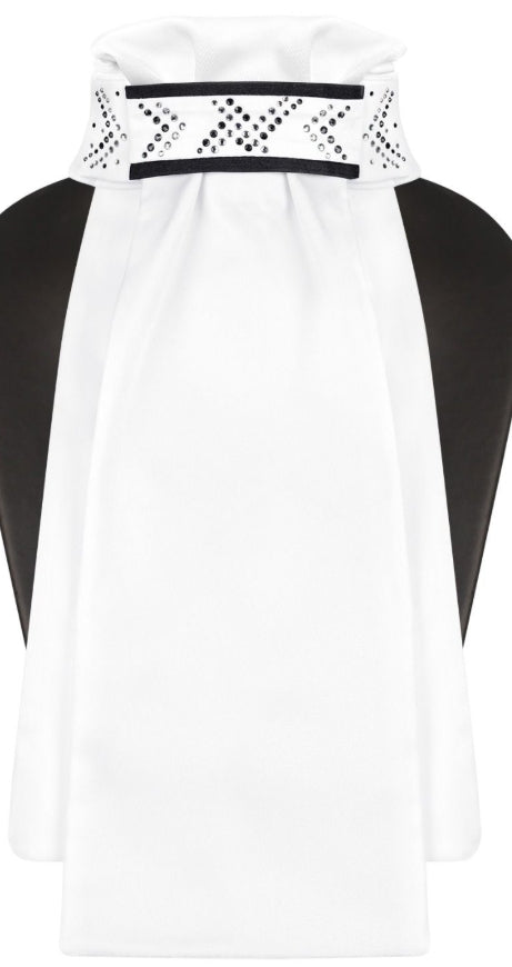Fairplay Pre tied Stock Tie Layla