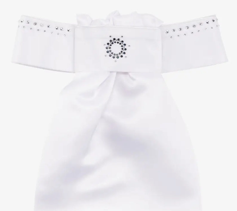 Lemieux Brillance Stock Tie