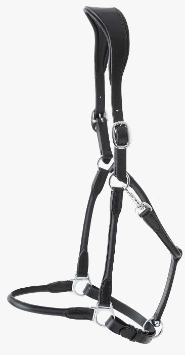 PEI Hennaroso Rolled Anatomic Head Collar