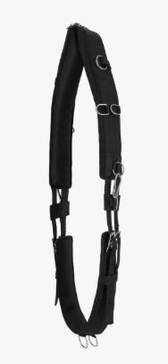 QHP Lunging Surcingle