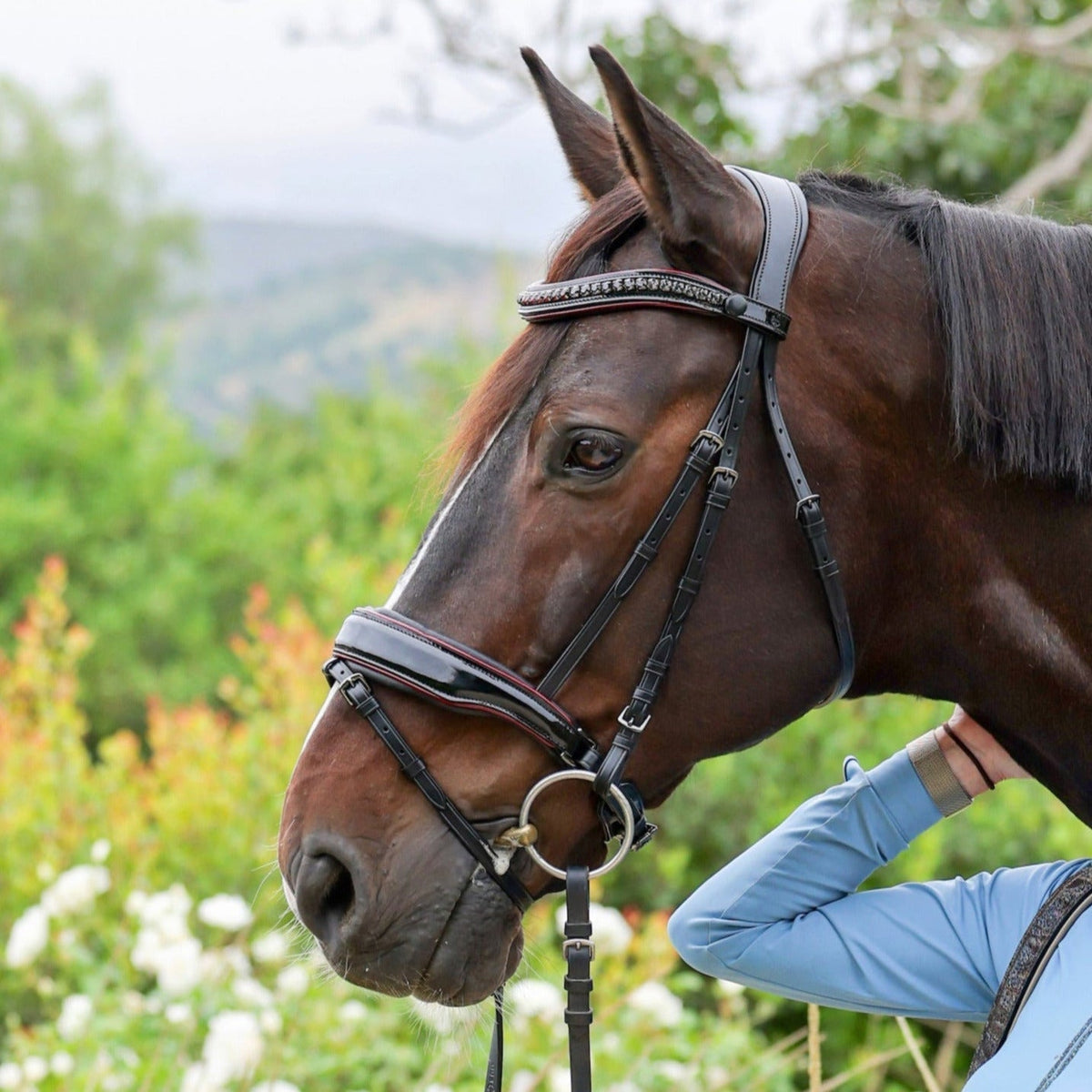 Halter Ego C  Snaffle Bridle