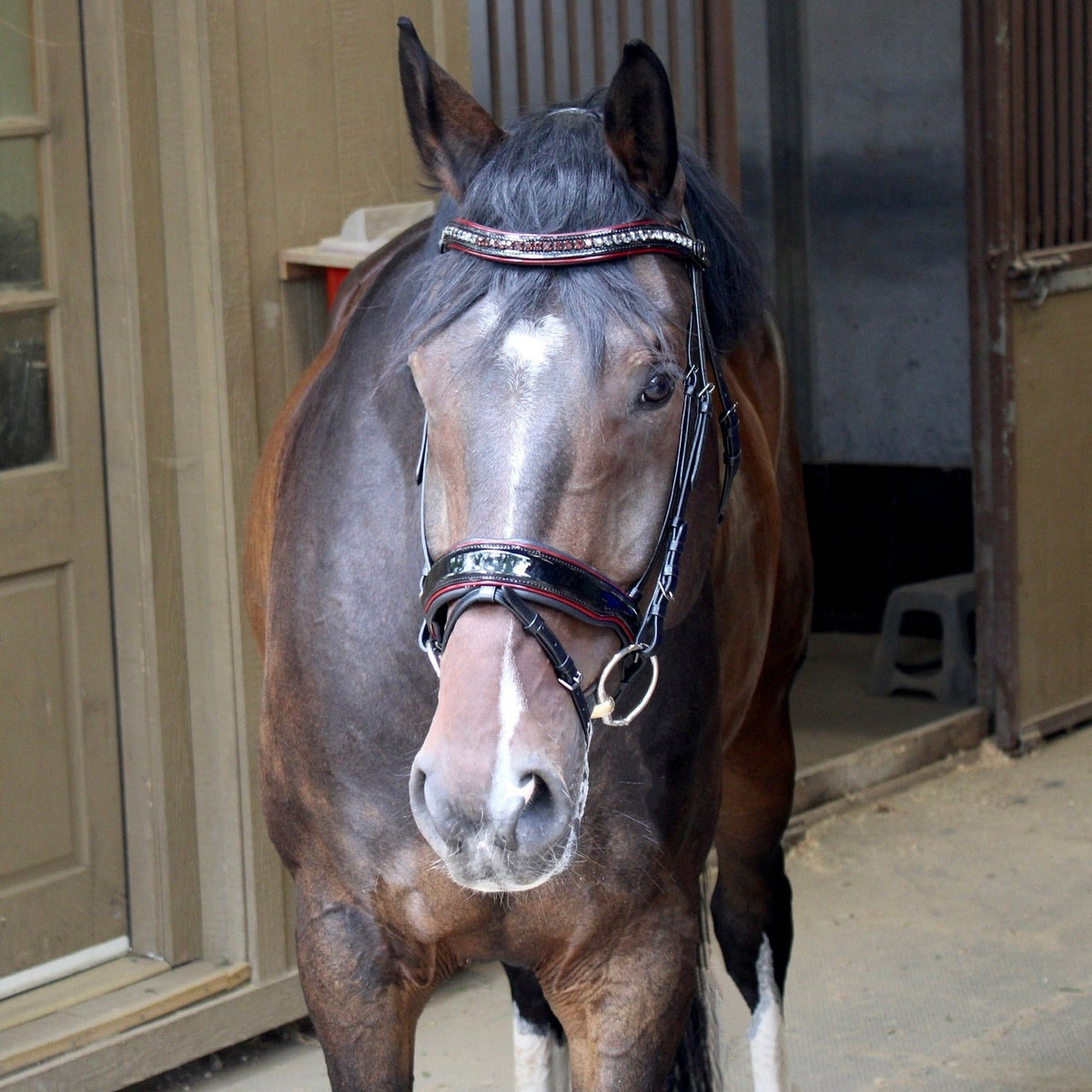 Halter Ego C  Snaffle Bridle