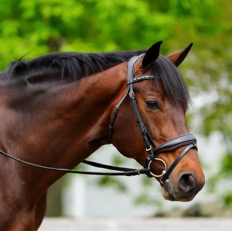 KLS Elite Dressage Snaffle Bridle