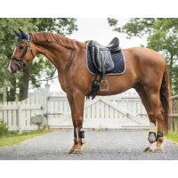 QHP Saddle Pad Summer Focus