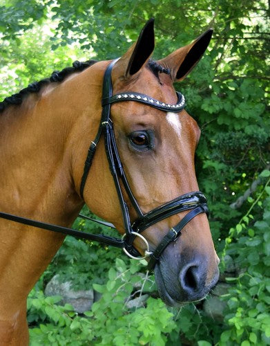 Red Barn Stride Snaffle Dressage Bridle