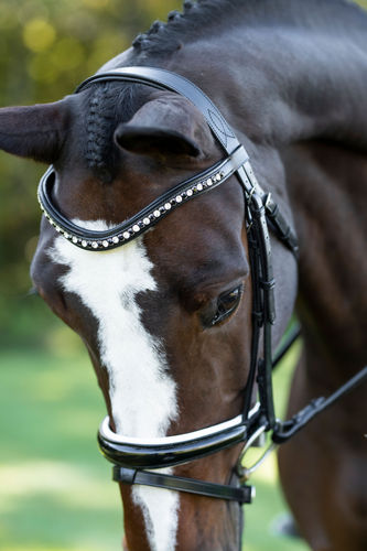 Red Barn Stride Snaffle Dressage Bridle