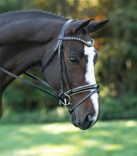 Red Barn Stride Snaffle Dressage Bridle