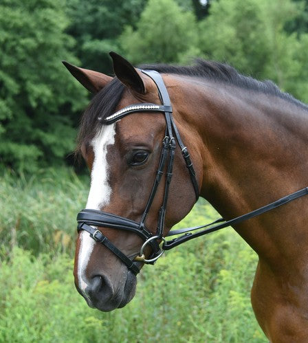 Red Barn Pace Weymouth Dressage Bridle