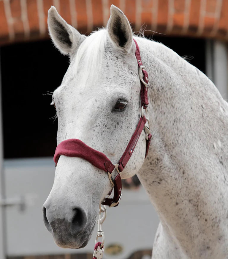 Premier Equine Fleece Padded Horse Head Collar