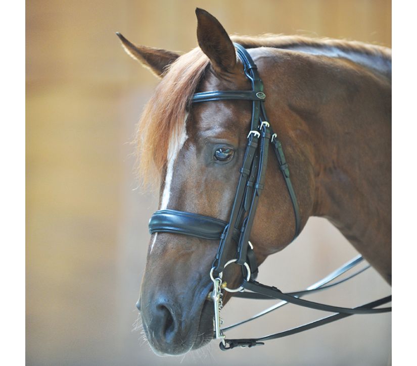 Kavalkade Dacira Weymouth Bridle