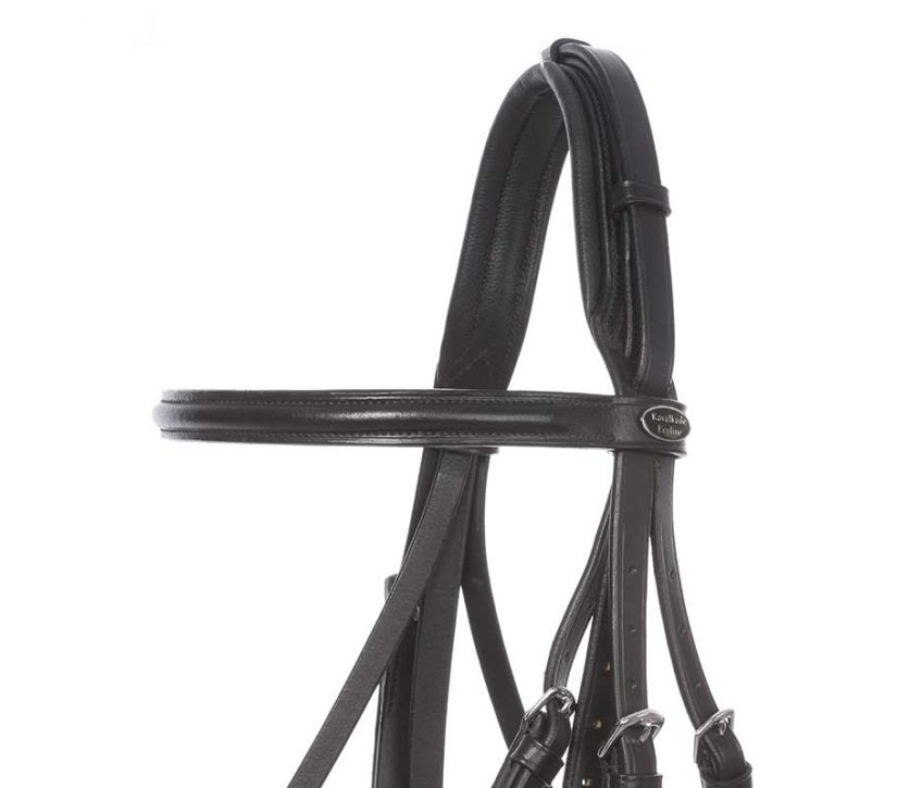 Kavalkade Dacira Weymouth Bridle