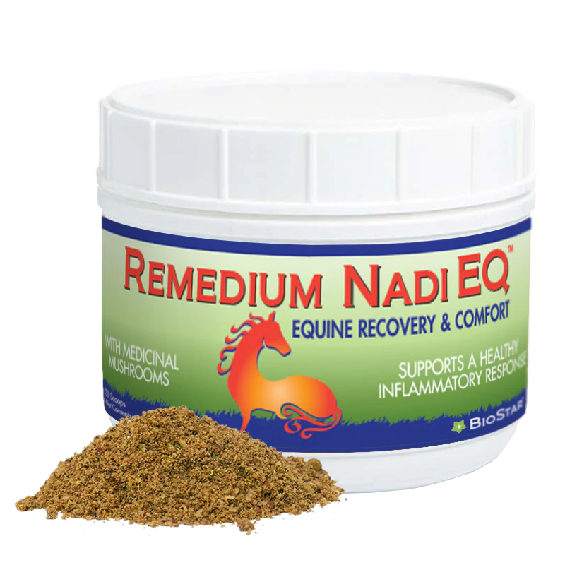 BioStar Remedium Nadi EQ Recovery & Comfort