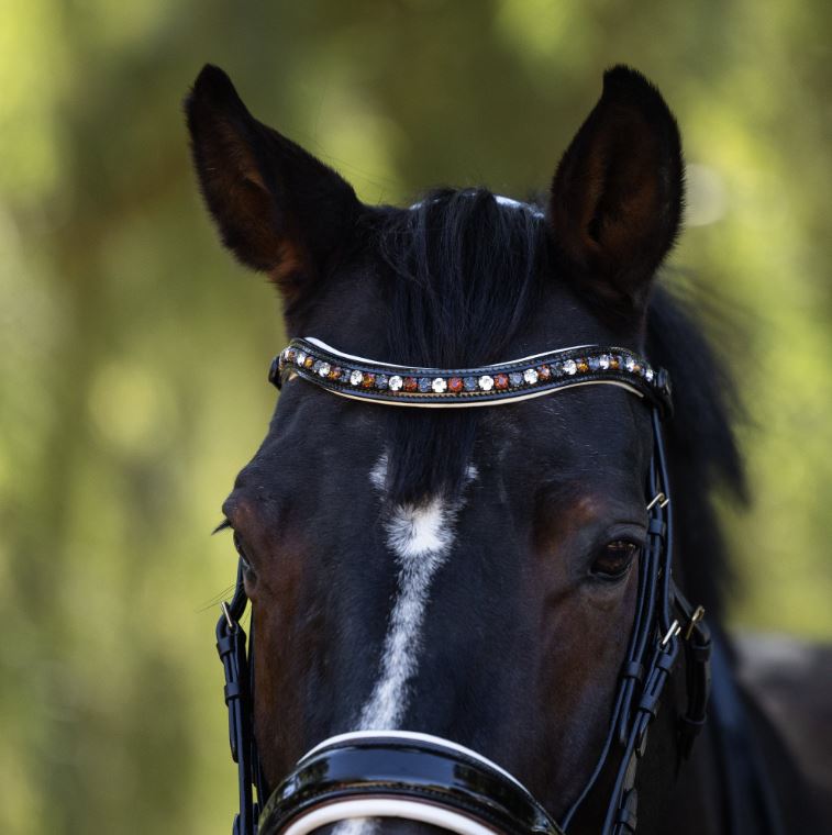 Halter Ego Taos Double Bridle