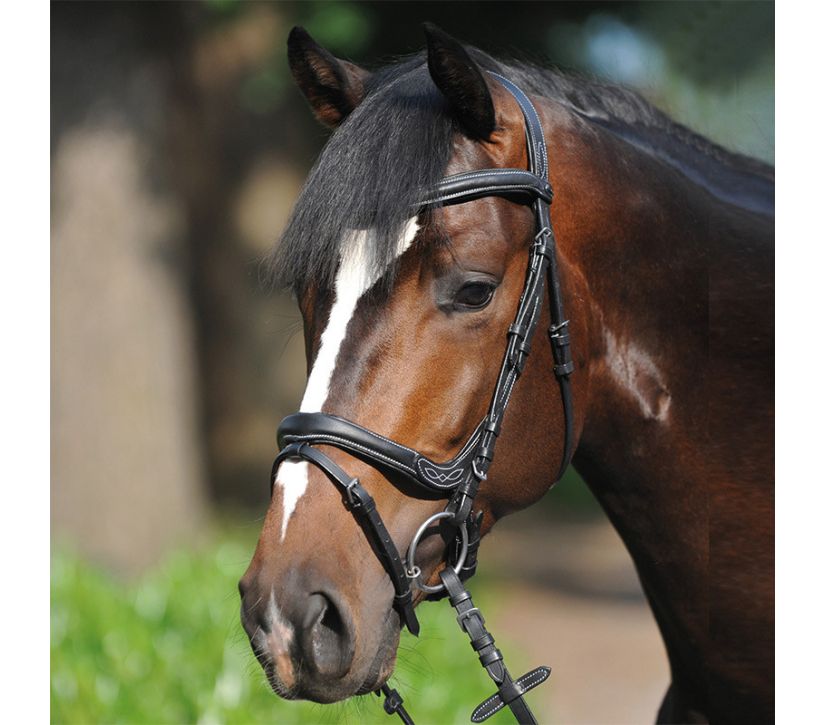 Kavalkade Ivy Bridle