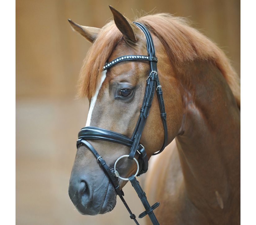 Kavalkade Mia Dressage Bridle