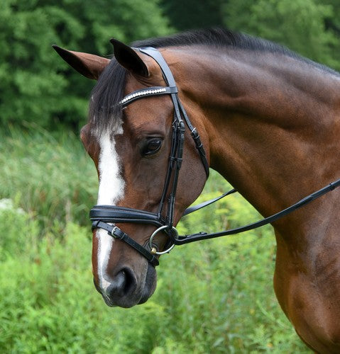 Red Barn Pace Snaffle Dressage Bridle