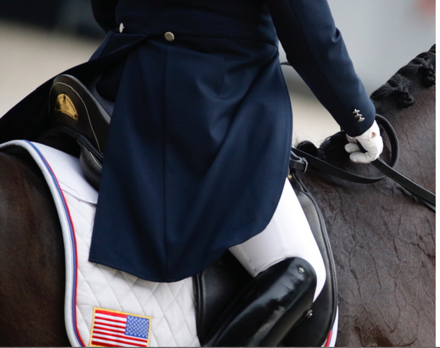 Sommer Savoie FlextraEQ Dressage Saddle