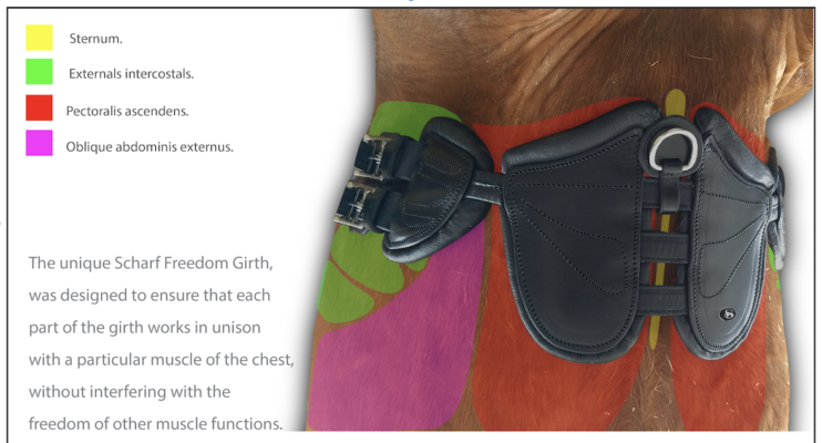 Scharf Freedom Dressage Girth