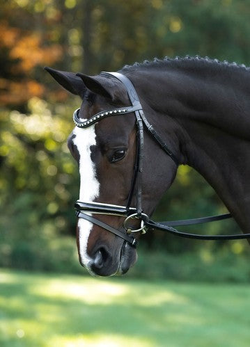 Red Barn Stride Weymouth Dressage Bridle